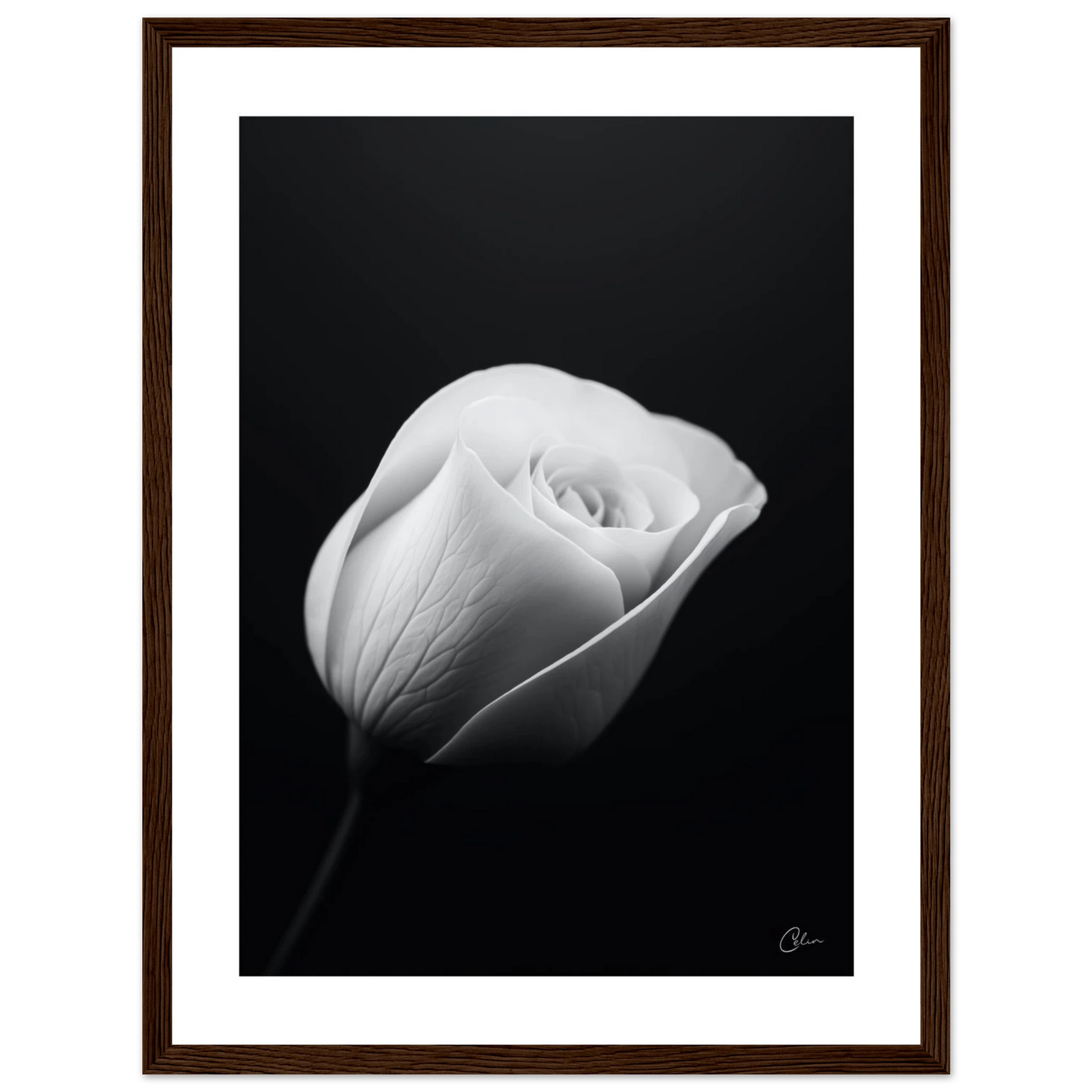 48cd9013-a012-4990-9db9-84e9689c1f10