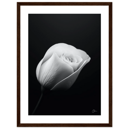 48cd9013-a012-4990-9db9-84e9689c1f10