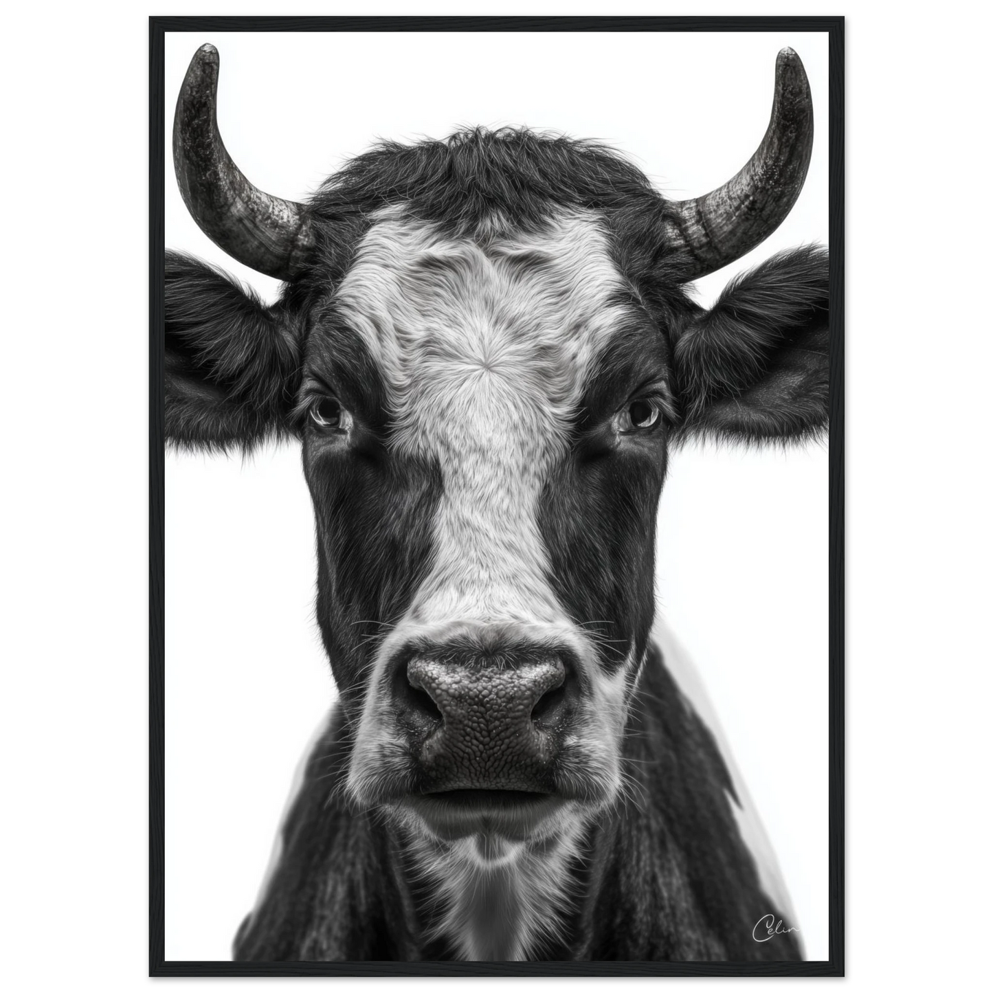 4969a1d1-8422-4ebe-b5e5-b6eecf296517