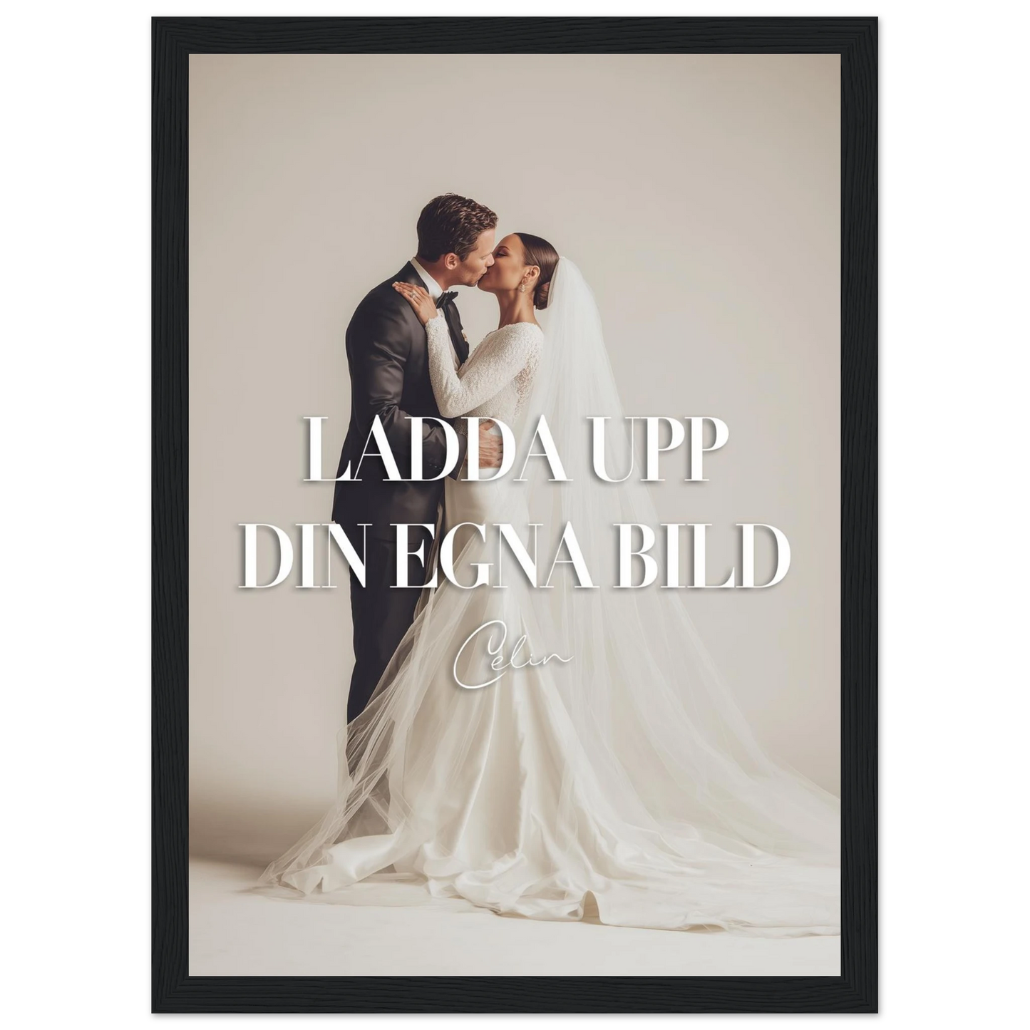 4c24701e-5bb7-46c3-a361-db3fd56bd21b