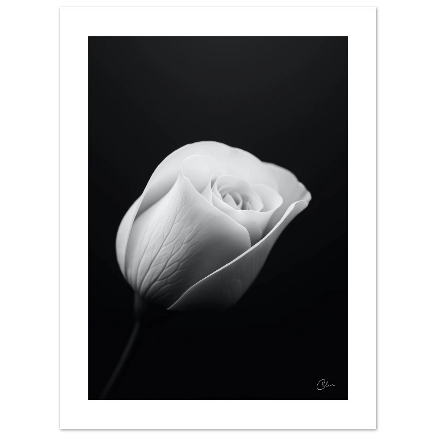 4f1b6cb2-1930-42ea-a147-6ce68c0cbf46