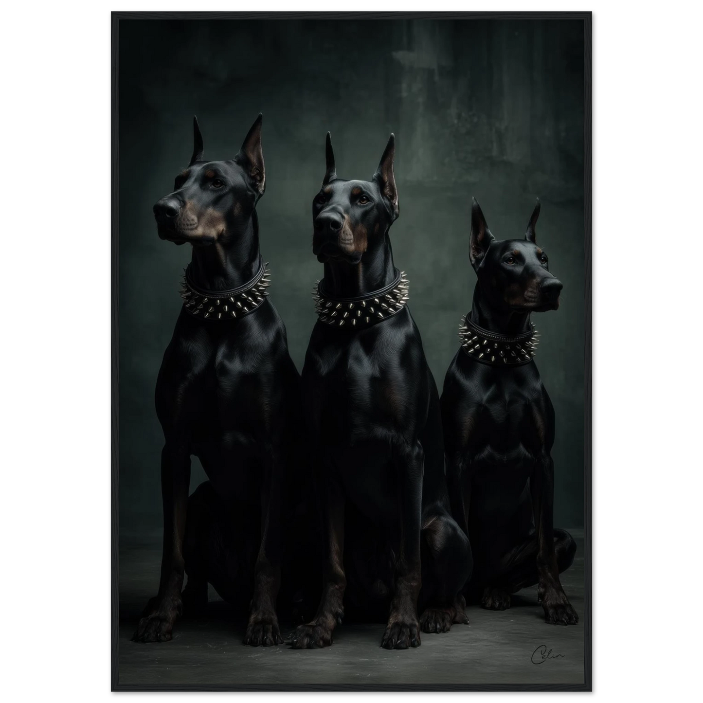 5029b2da-4b79-4ac8-a95a-075c4d7b77a7