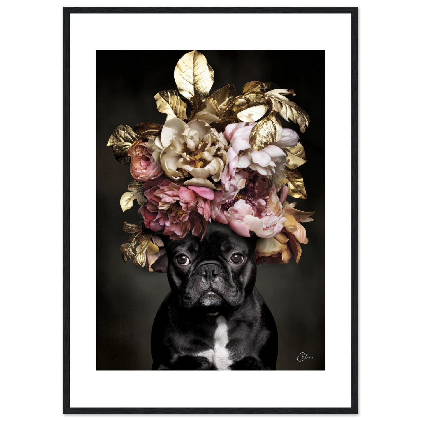 522cd349-7cab-439d-bc55-326c775d045f