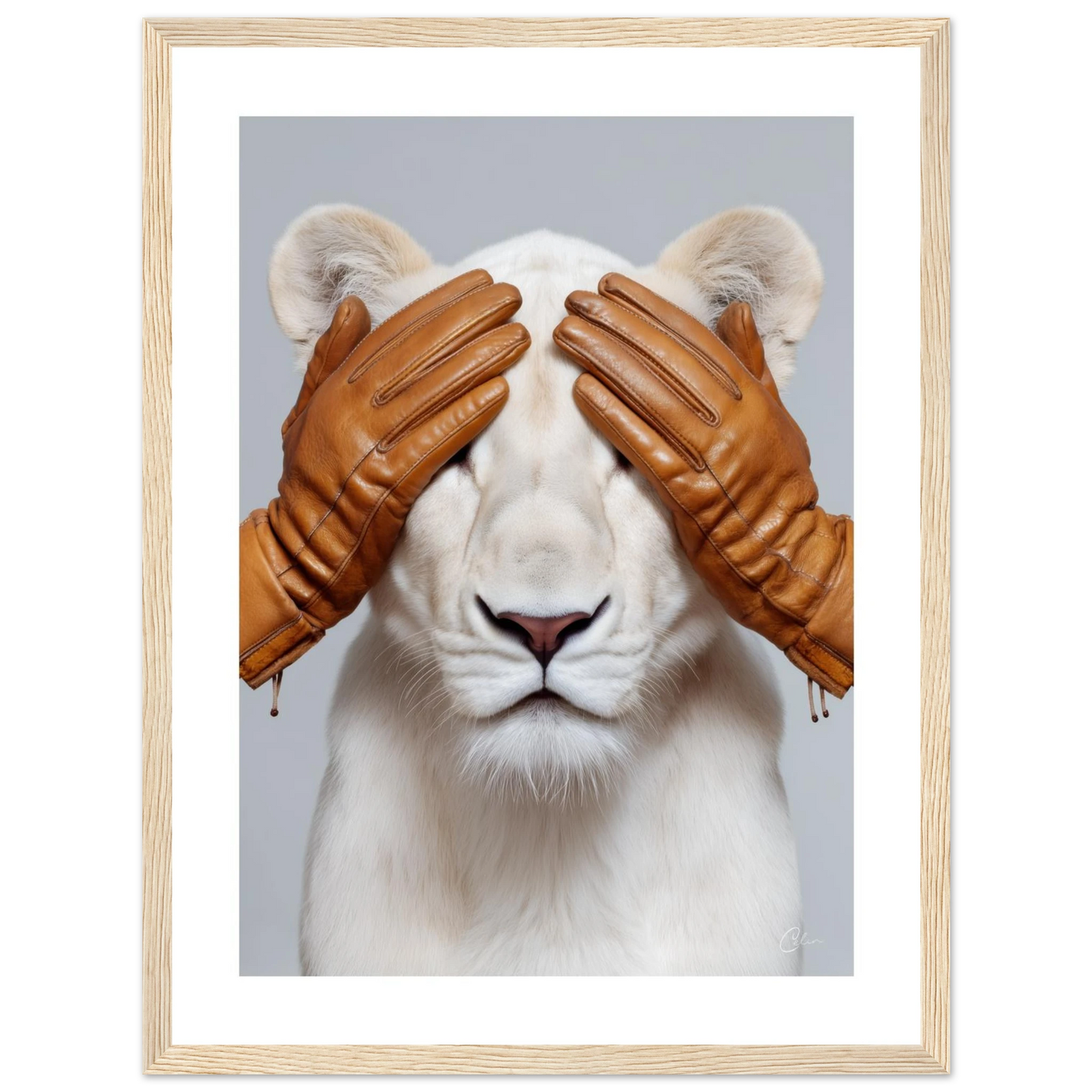 55772036-bcae-4fc7-bf80-f9aa17179509