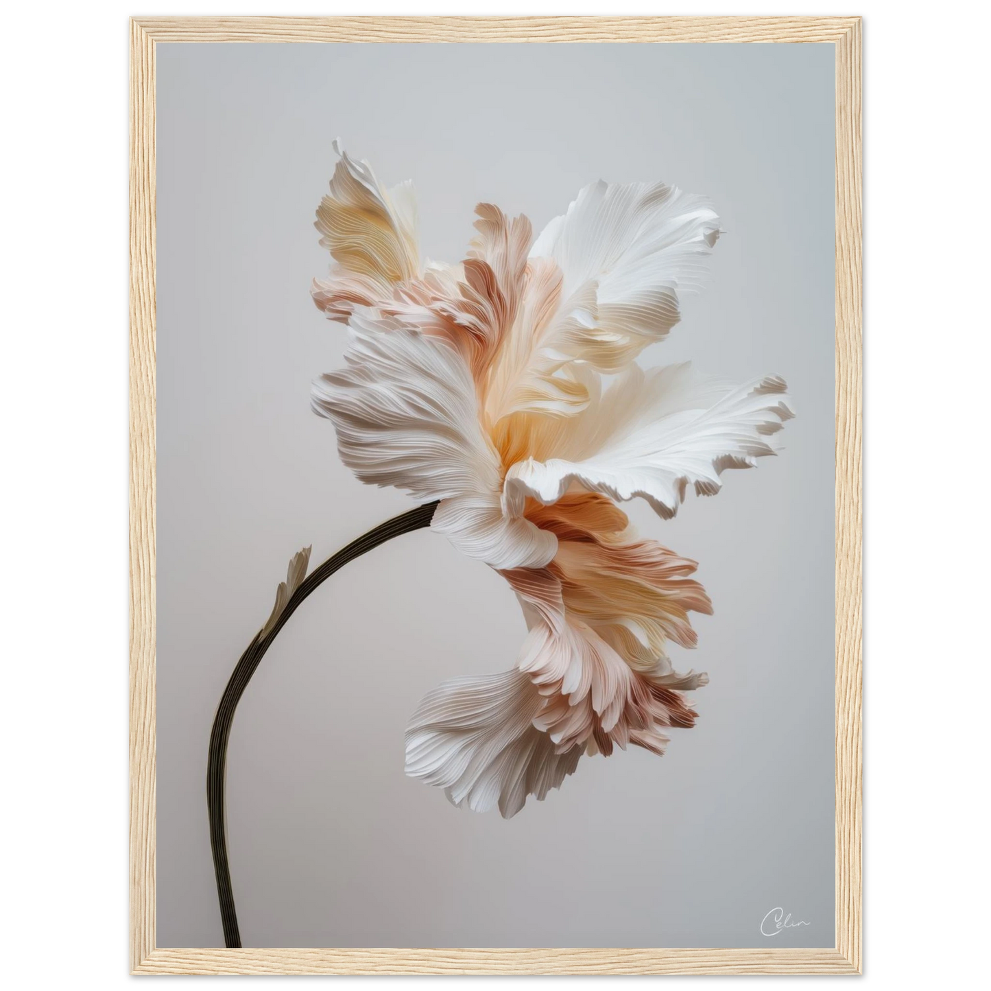 56207780-5cdb-4440-8fa7-c2d531b5062f