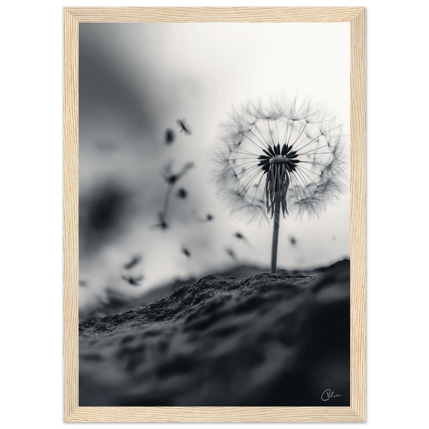 5633b248-723e-4842-933f-6a008f5b4192