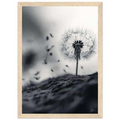 5633b248-723e-4842-933f-6a008f5b4192