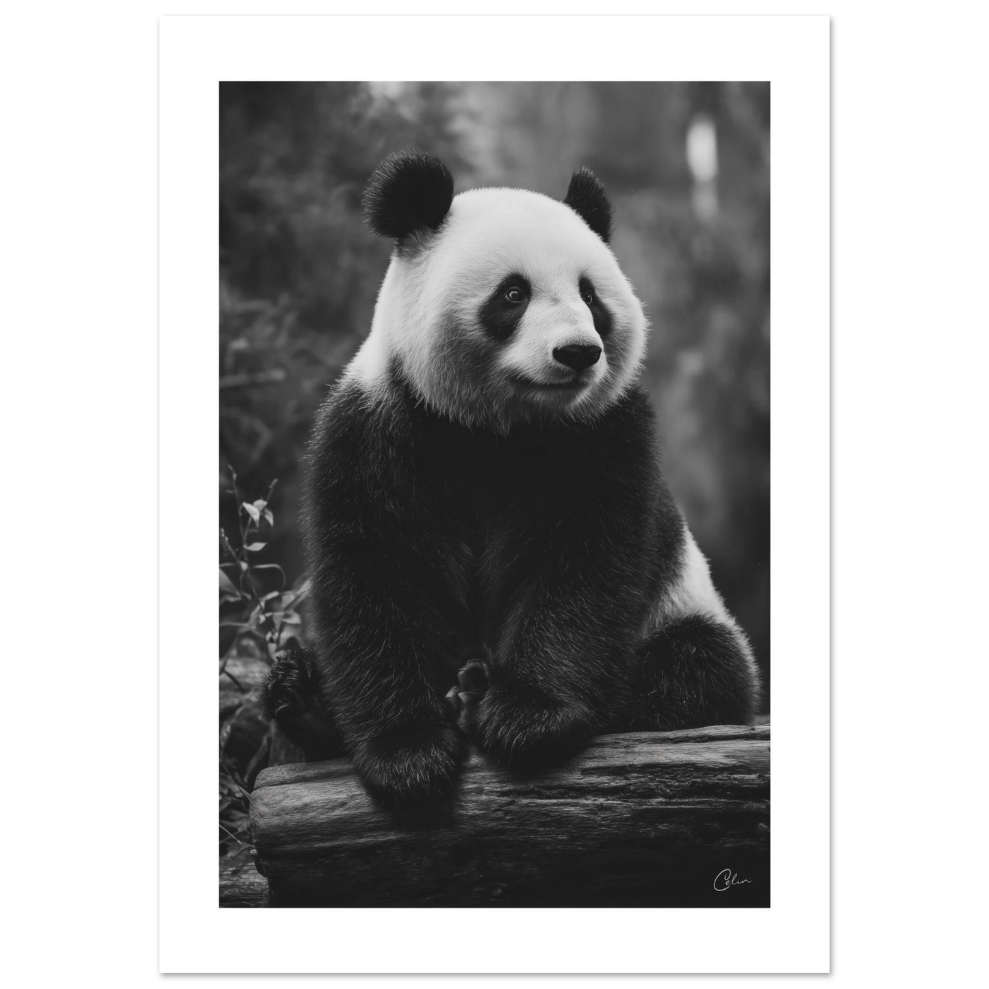 5b7972ea-a15a-4c71-8341-cd2f7eaa3a98