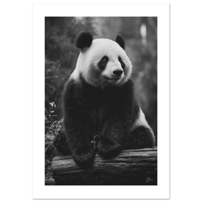 5b7972ea-a15a-4c71-8341-cd2f7eaa3a98