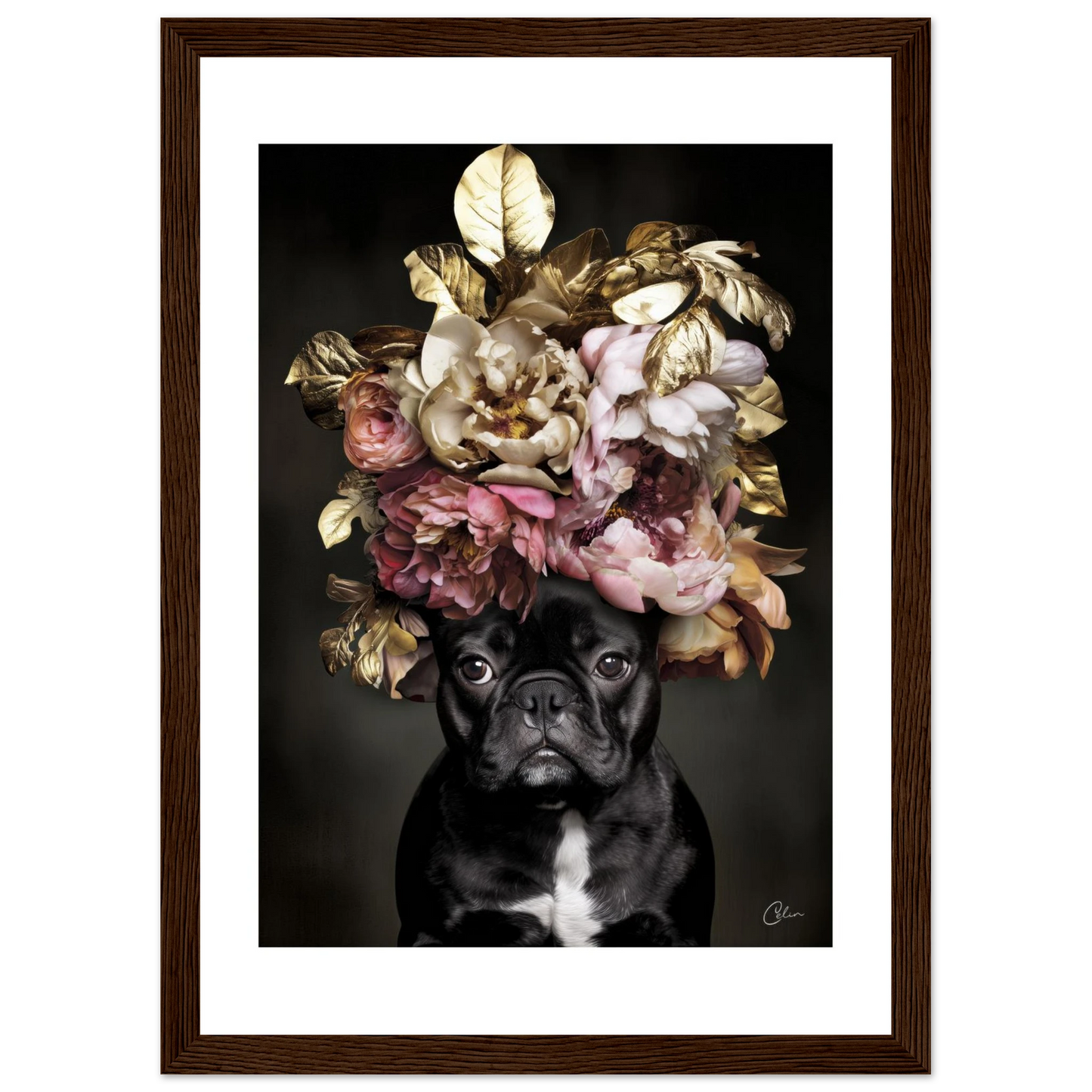 5ba75bb3-a985-46db-98f7-6e92364c1397