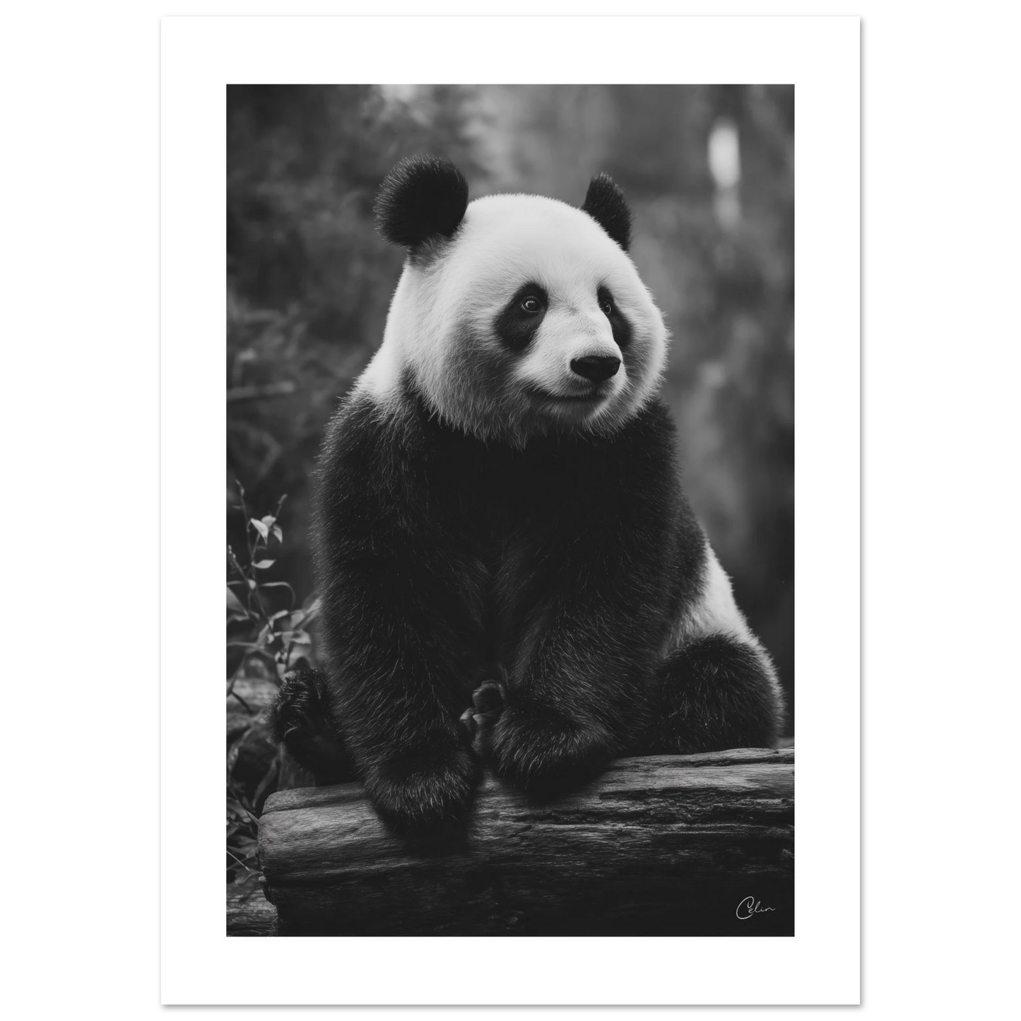 5c42816d-ac59-4aed-9145-06bfa1279cc0