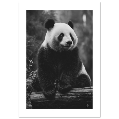 5c42816d-ac59-4aed-9145-06bfa1279cc0