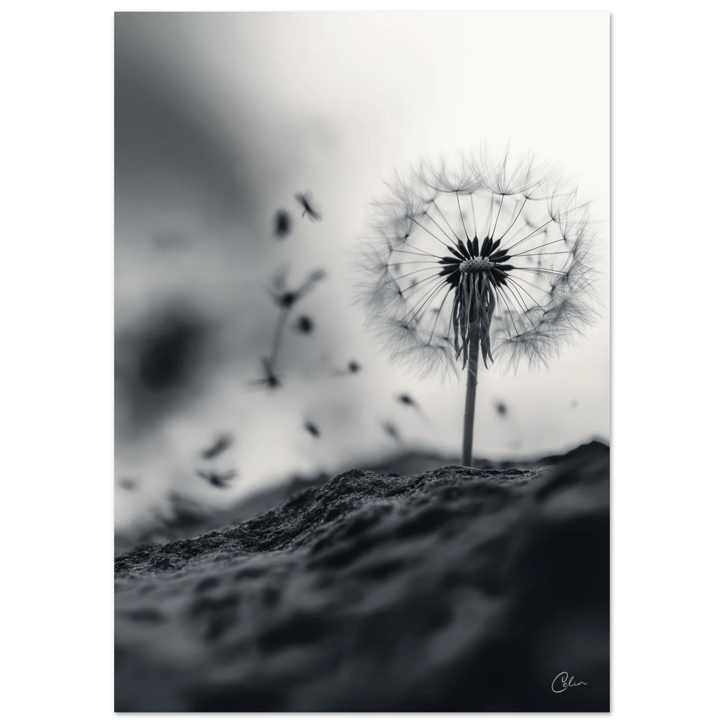 5c601de7-1259-458d-8474-b6f3fb536c01