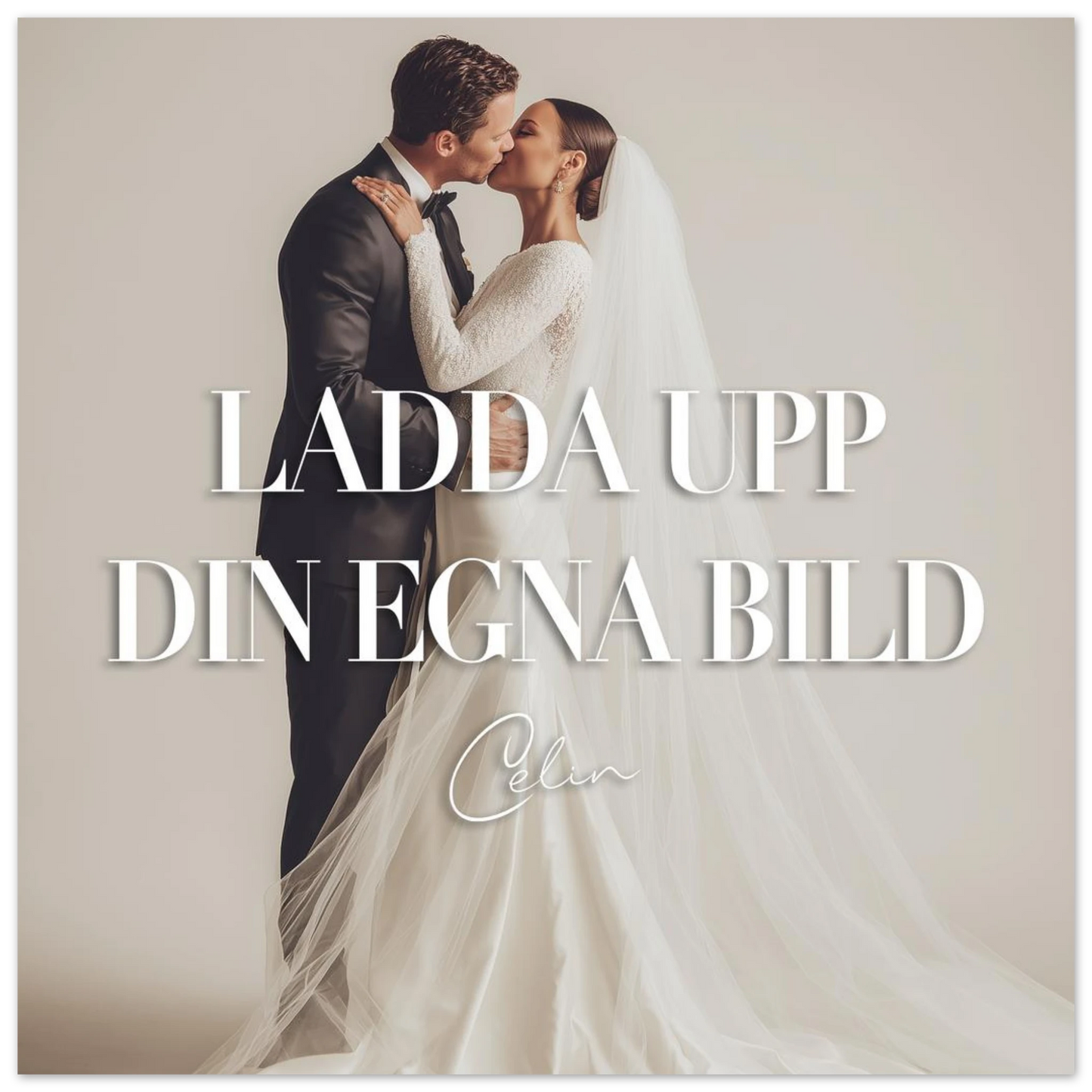 5d733638-abdb-464e-a085-6c158a3cd893