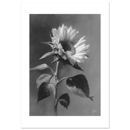 5d9863c4-c6ad-4bda-ba6a-71a0094f7cec