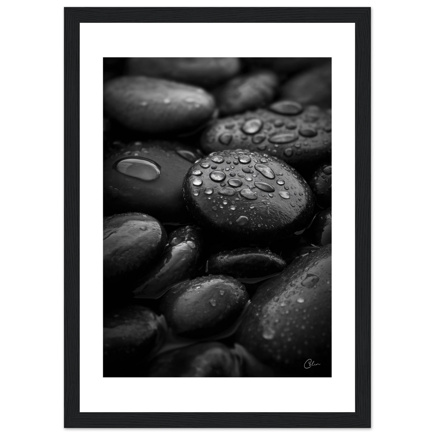 5e25e40f-03a3-47a6-8ee2-04fffb807bea