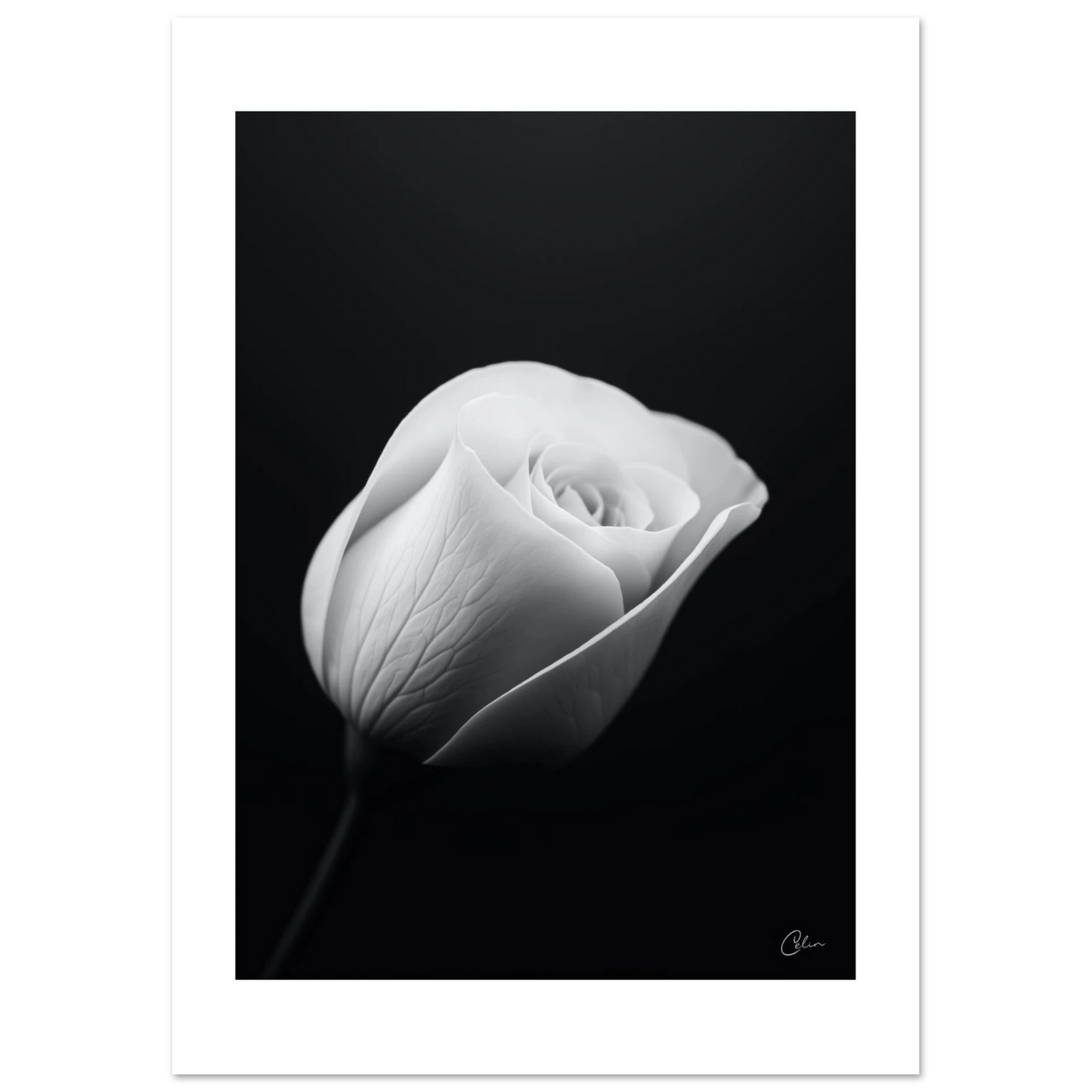 5e8770ab-e3f6-441b-ac7d-93c0abe6e49a