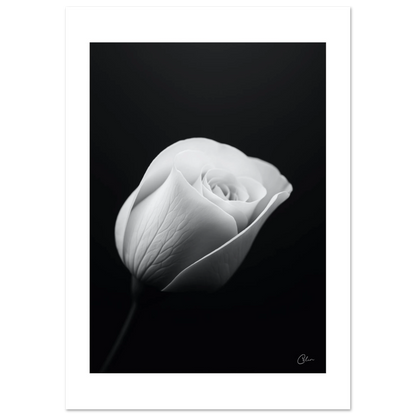 5e8770ab-e3f6-441b-ac7d-93c0abe6e49a