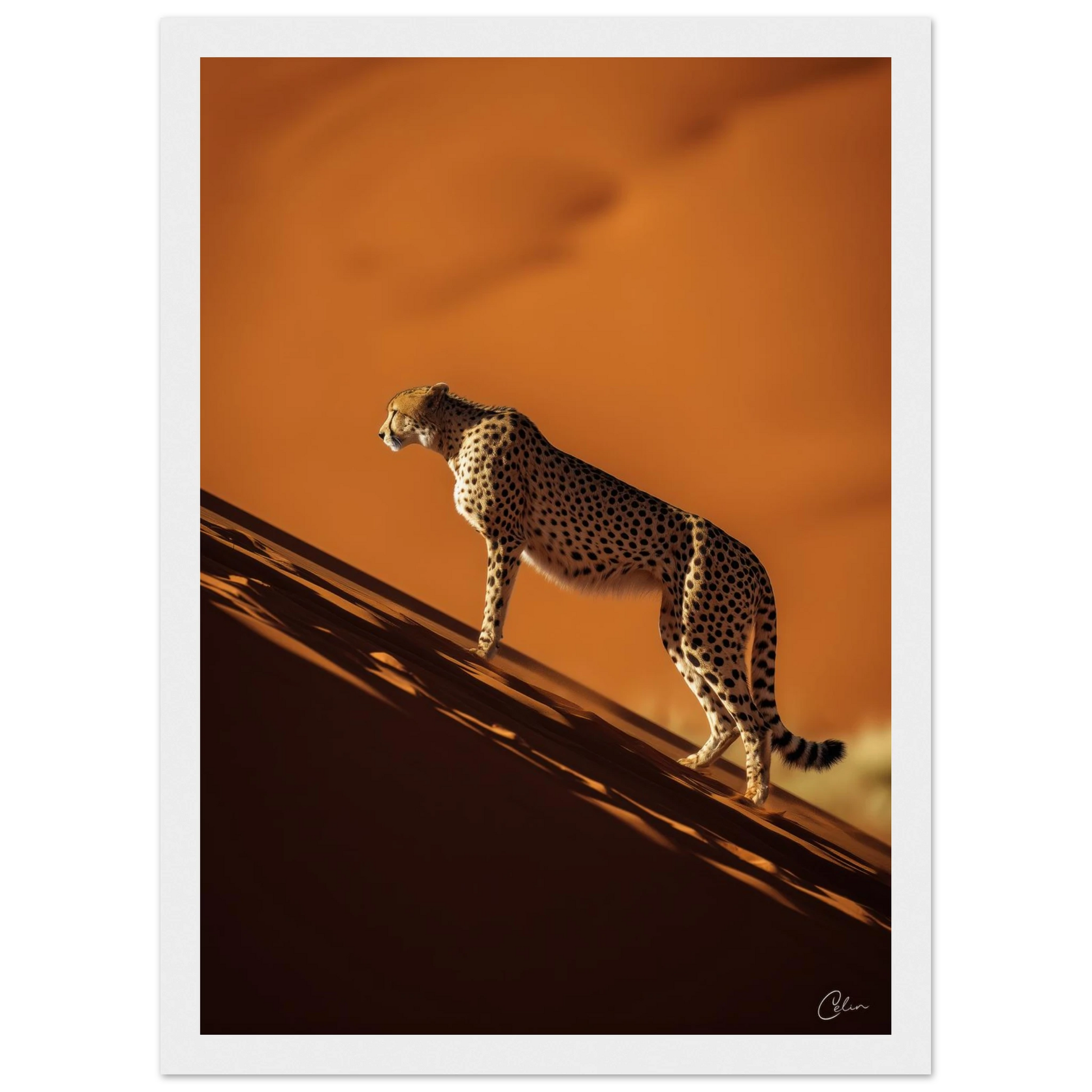 603740e4-00cc-4452-bf0a-c6fb61ca3be4