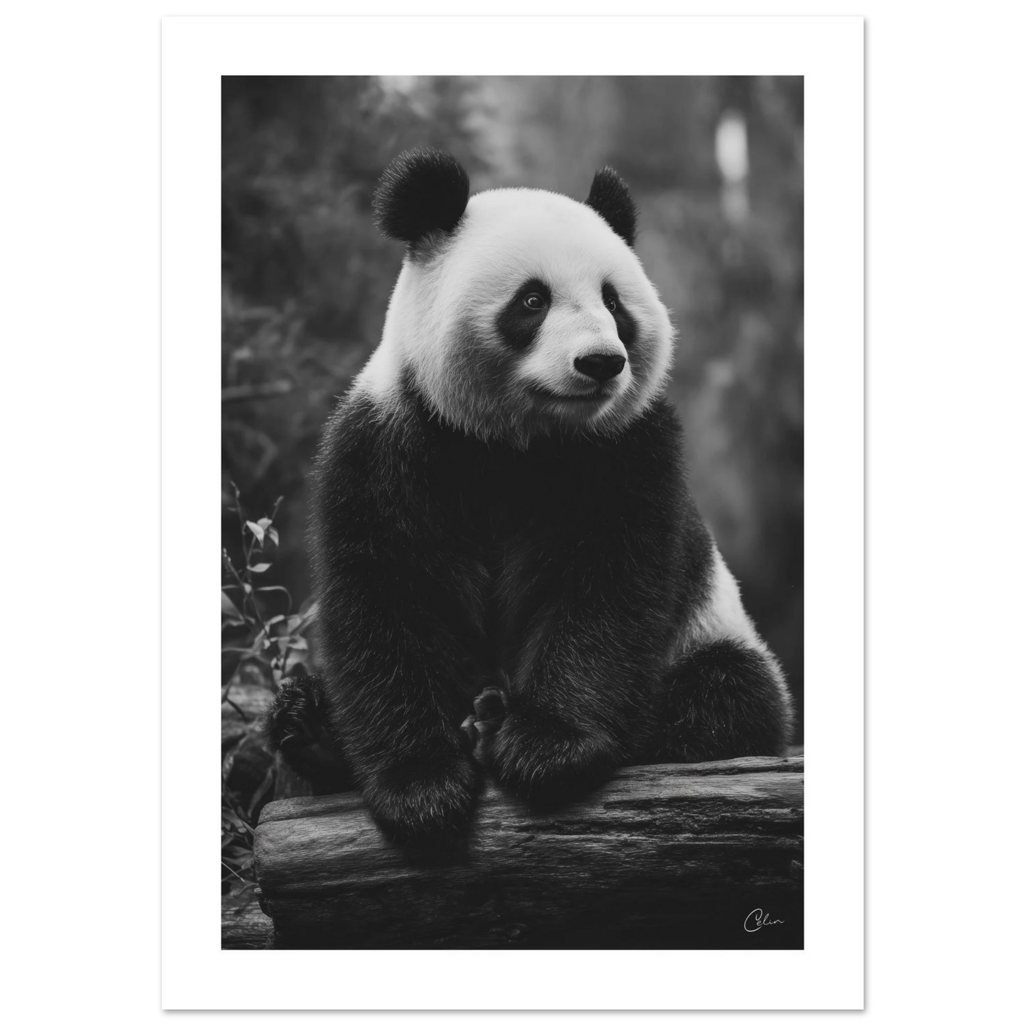 605f8220-a6f0-450b-b737-668eee7a1551