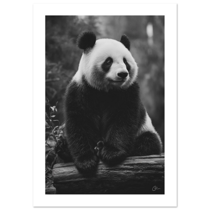 605f8220-a6f0-450b-b737-668eee7a1551