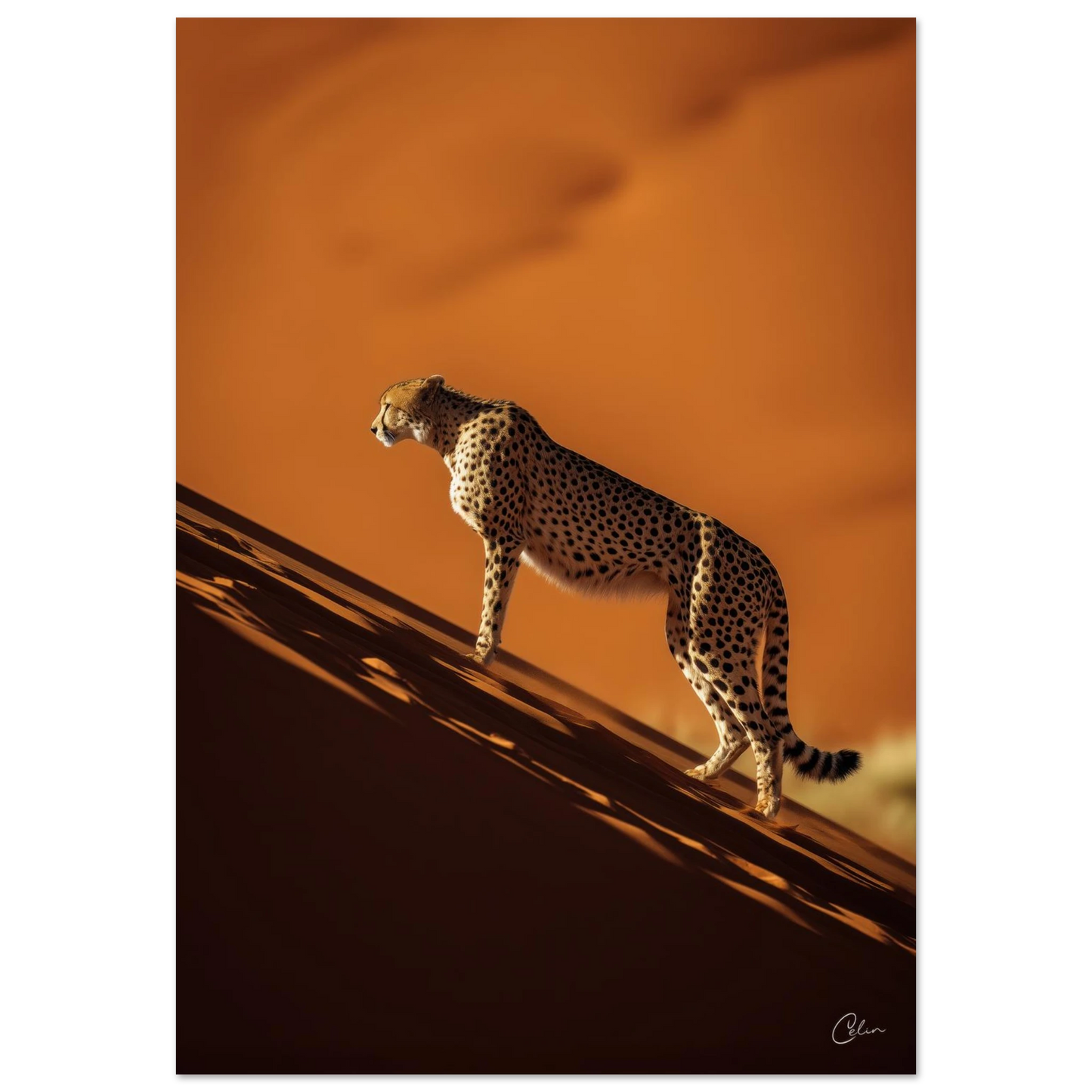 60de6943-8461-496a-b3db-7f3a58880695