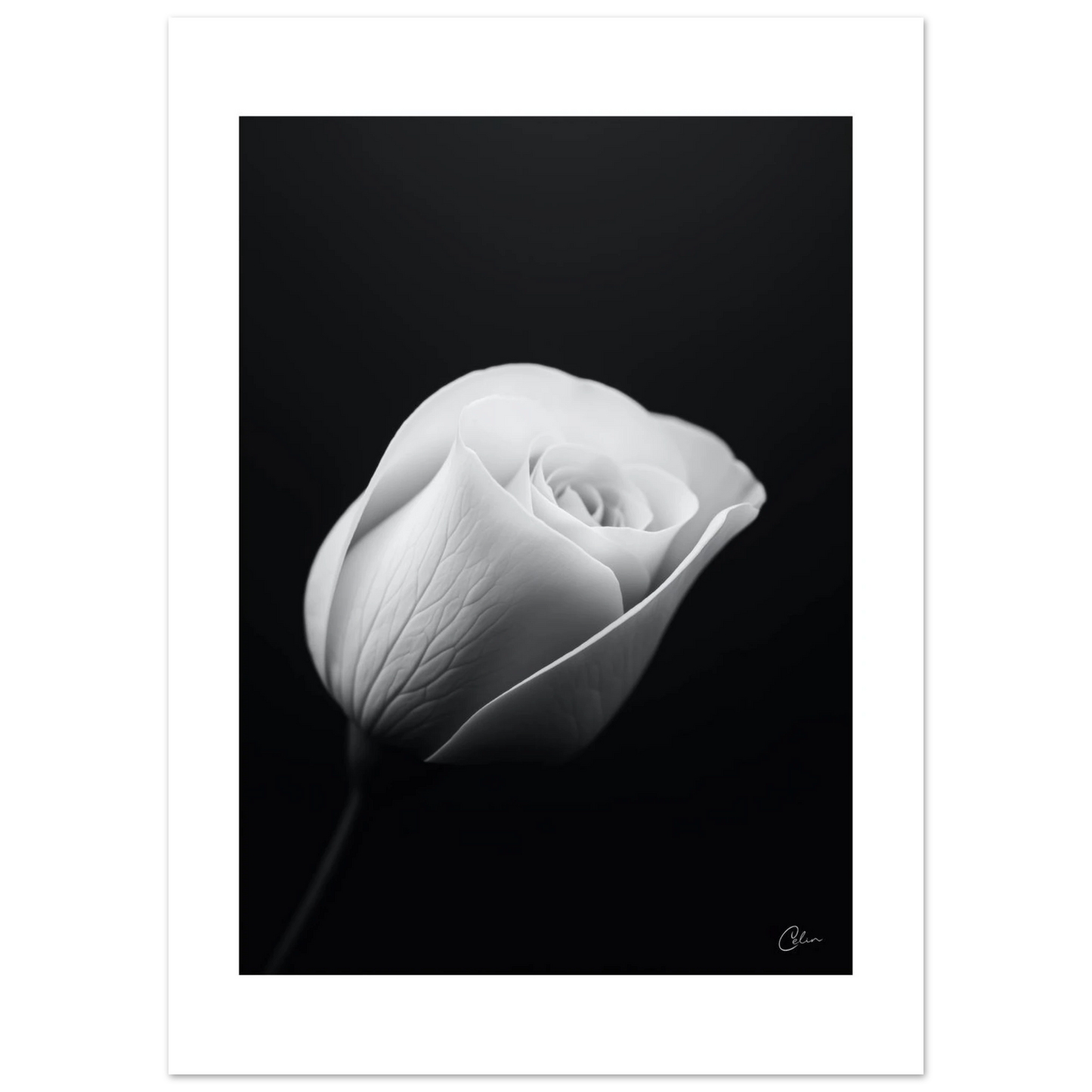 61e10035-8c1e-4acf-acdc-4e2bee6f76f1