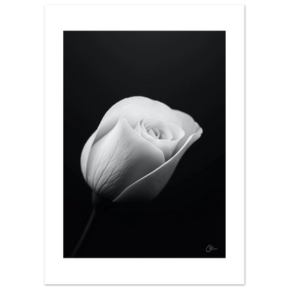 61e10035-8c1e-4acf-acdc-4e2bee6f76f1