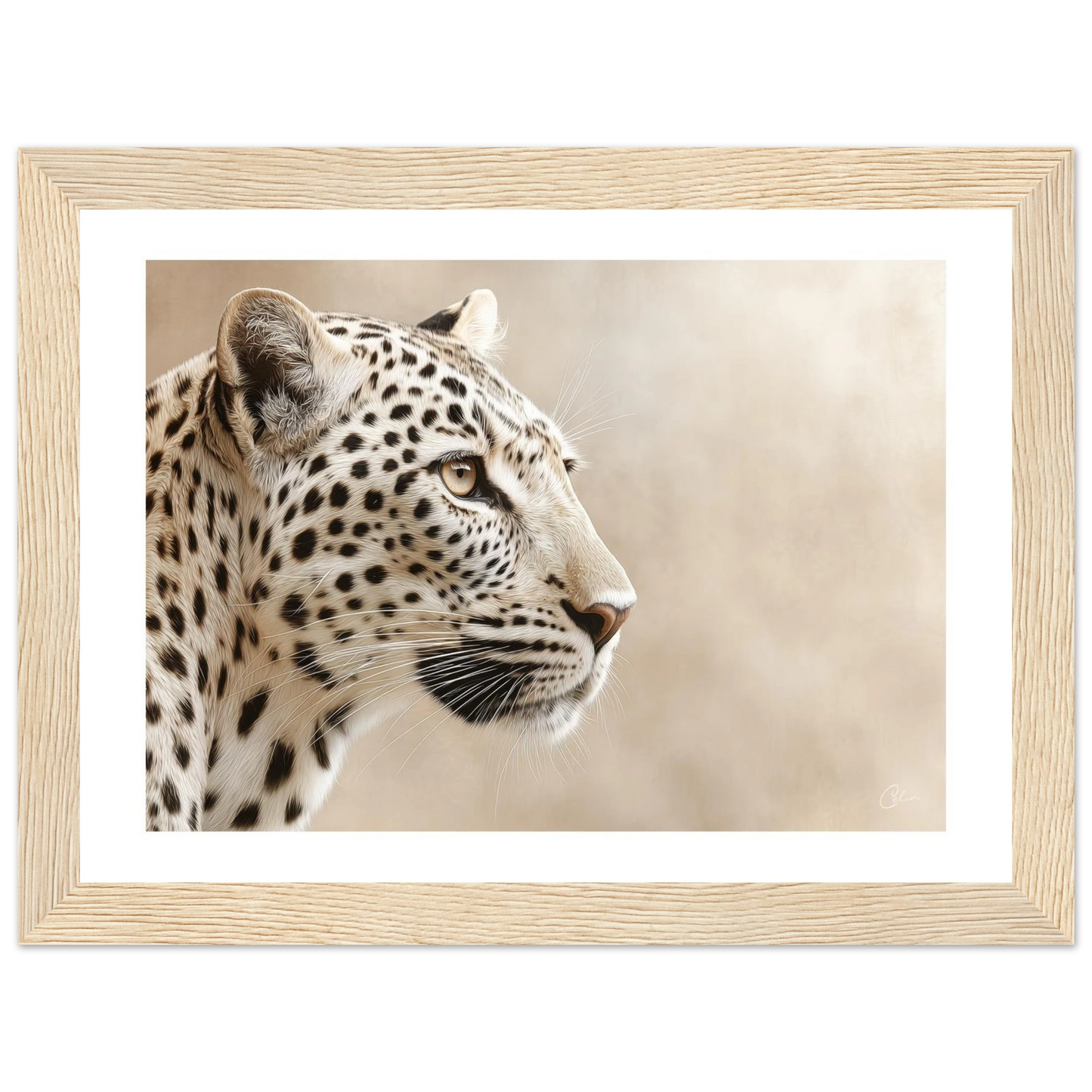 62b35f6f-c5d3-4e4f-ab3c-8ac6e882f427