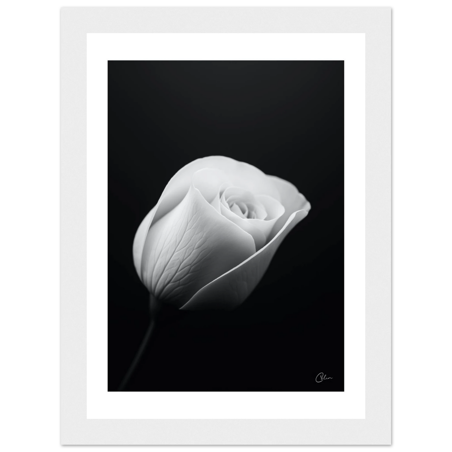 63aa06d8-c94a-49a3-96b2-c368e50ddfc8