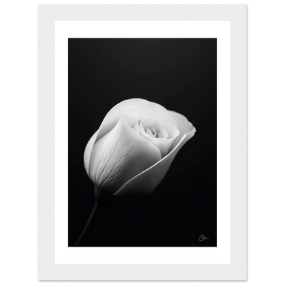 63aa06d8-c94a-49a3-96b2-c368e50ddfc8