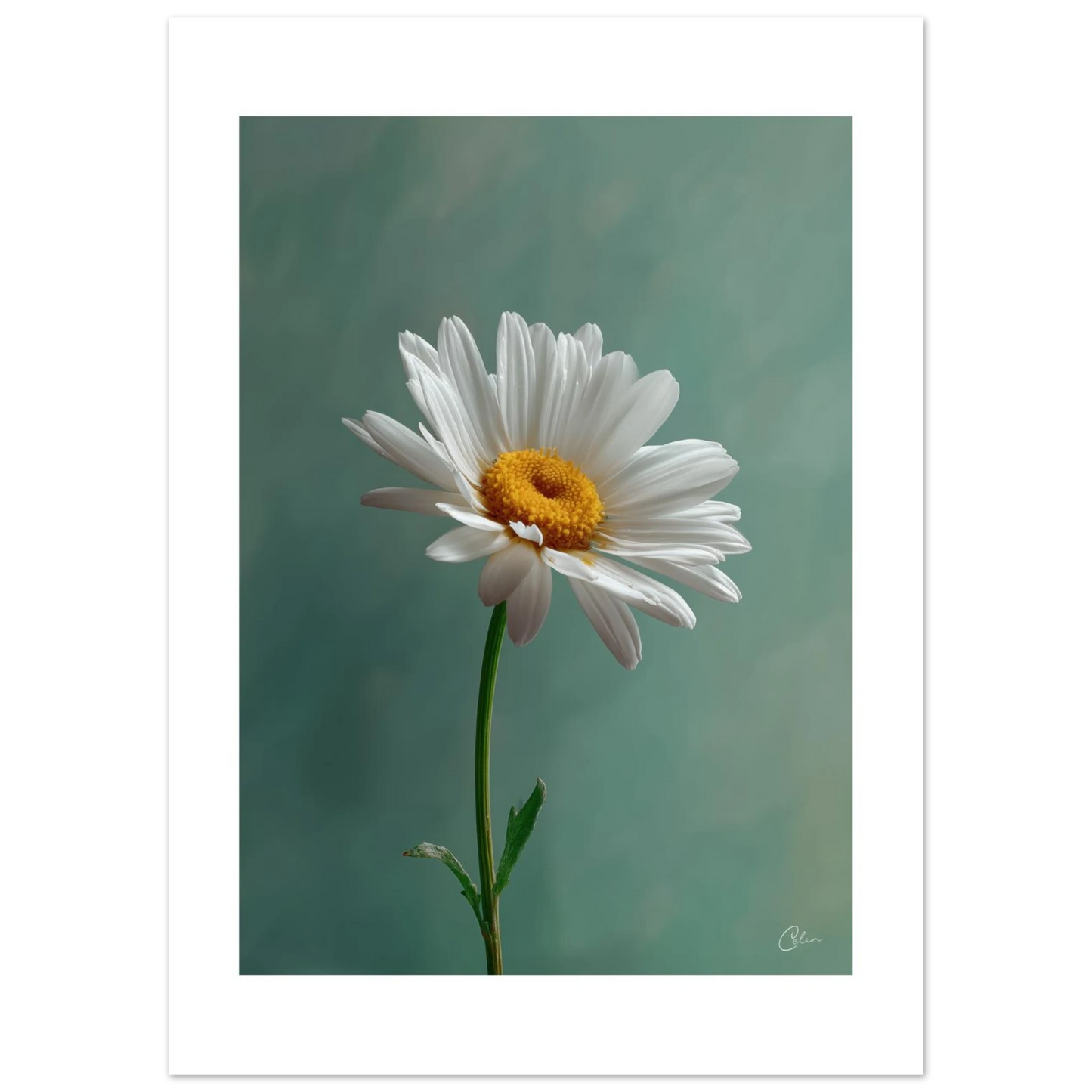 6627644f-e9f7-41eb-94ed-d50896c35b35