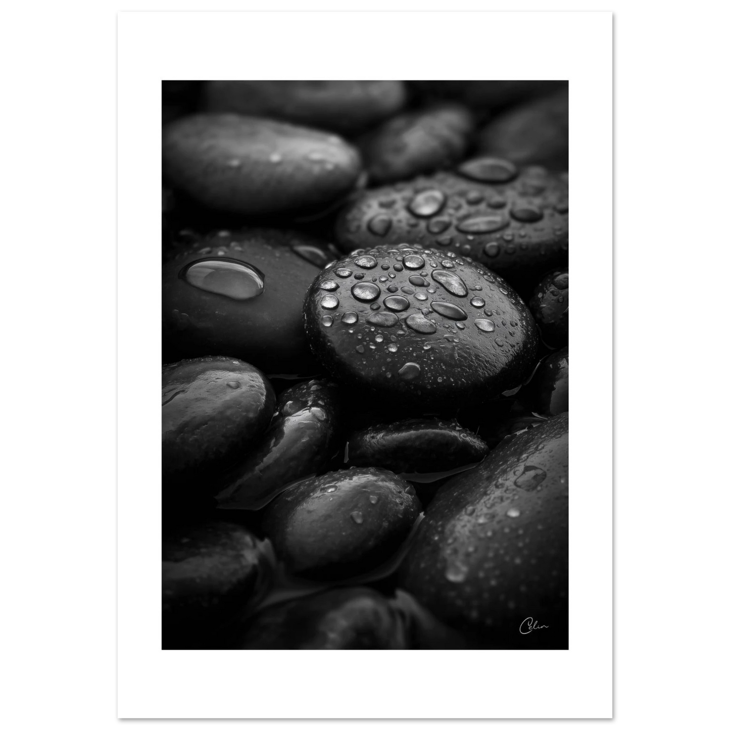 66689837-7094-469b-977f-89cc297a8be8