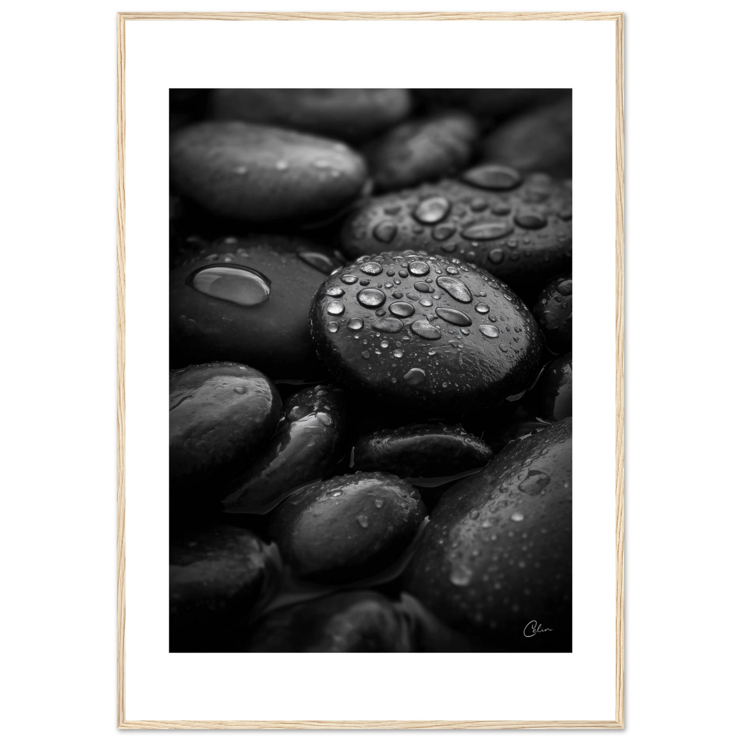 66c8f586-795c-4a77-a0c2-bcb9900951e7