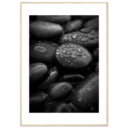 66c8f586-795c-4a77-a0c2-bcb9900951e7