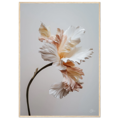 6807abb4-df51-430f-9e1b-97daa9868d2b