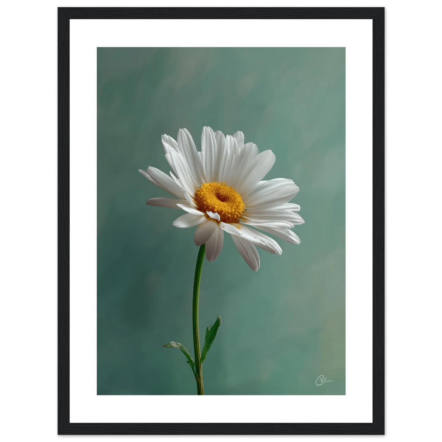 6aa189a6-5fad-4175-8ff2-39128c6302d4