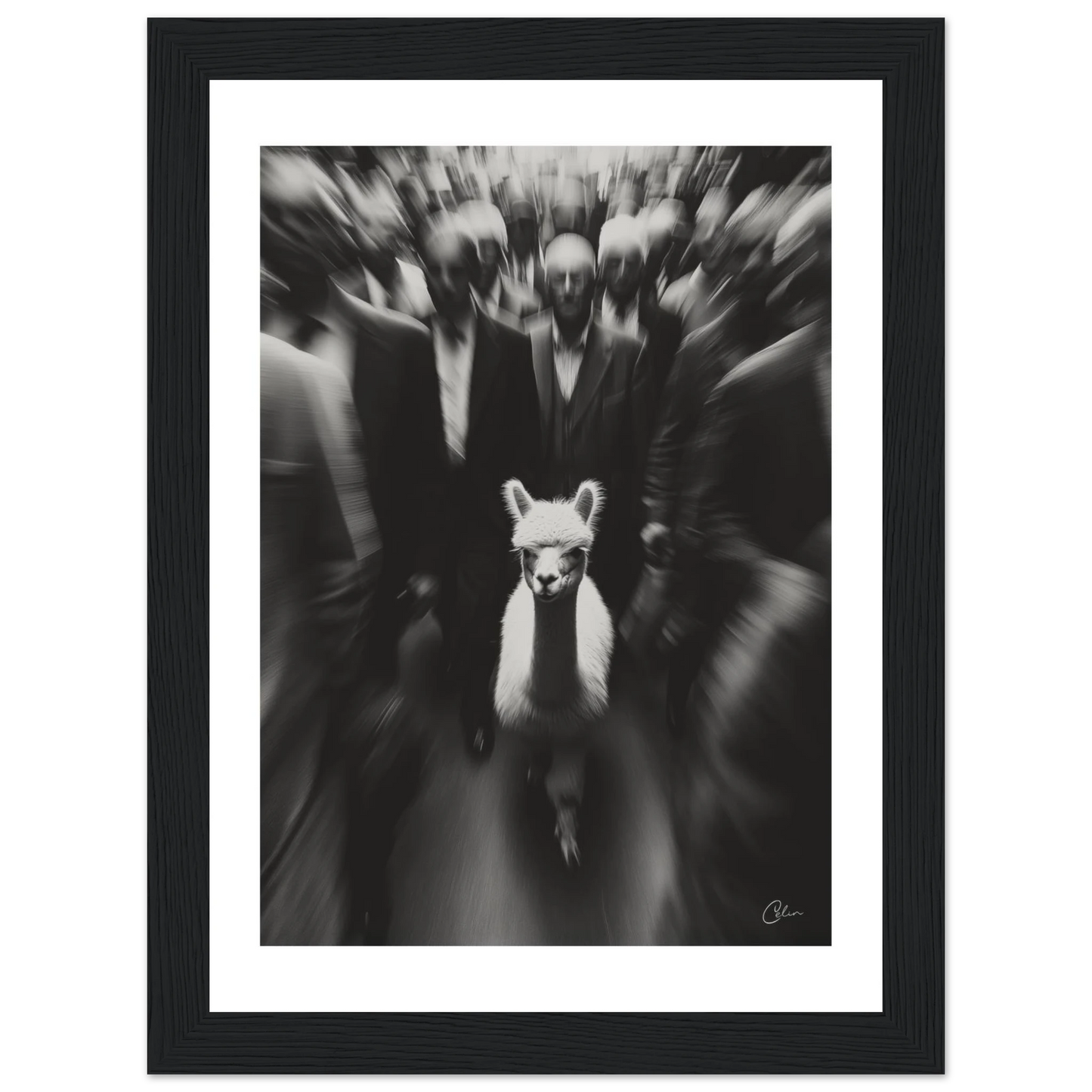 6d082359-266d-4b03-8472-88f5b1fa41a2