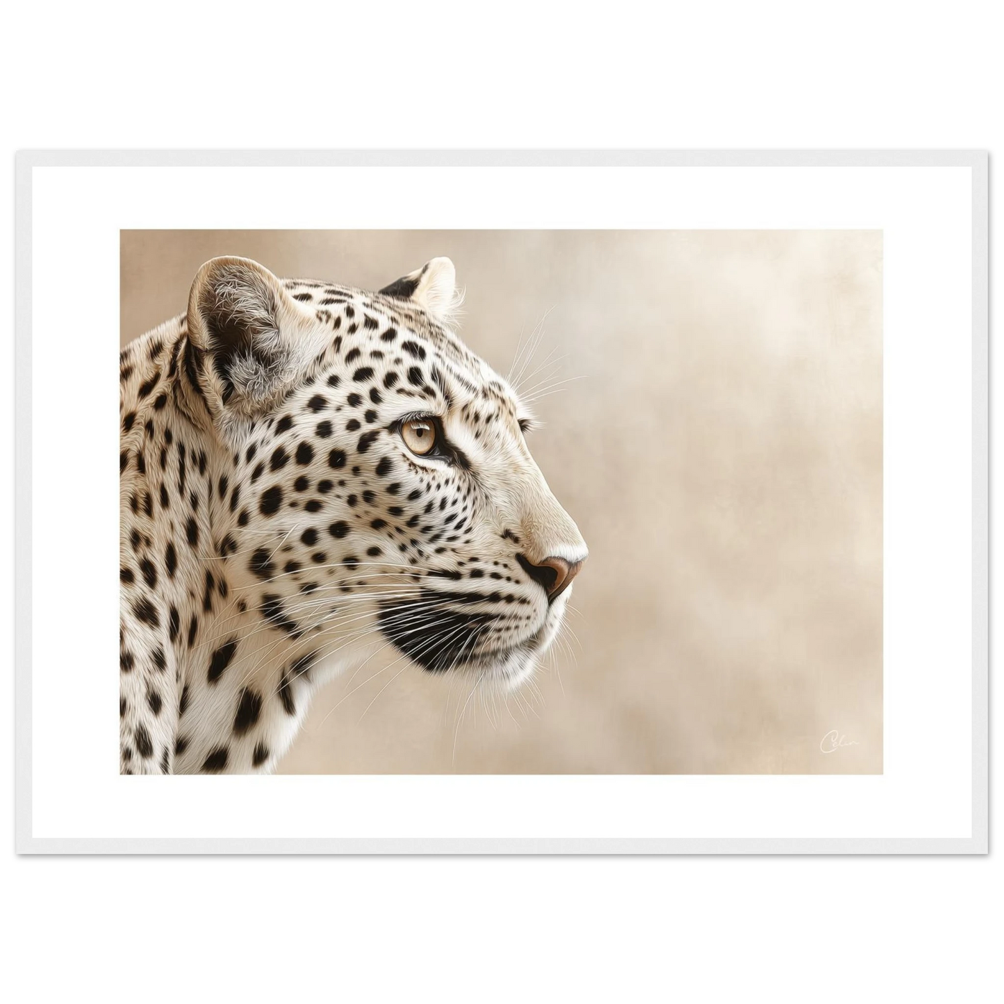 6e6ca66a-389d-4c2e-9e02-3aabe5533289