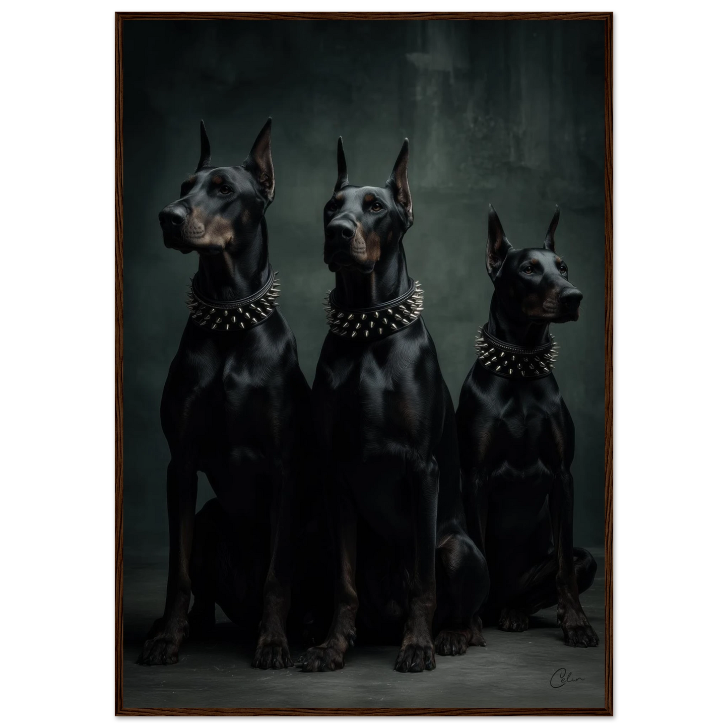 6fd8a51d-2de3-4923-b2c9-33a4f7448f9b