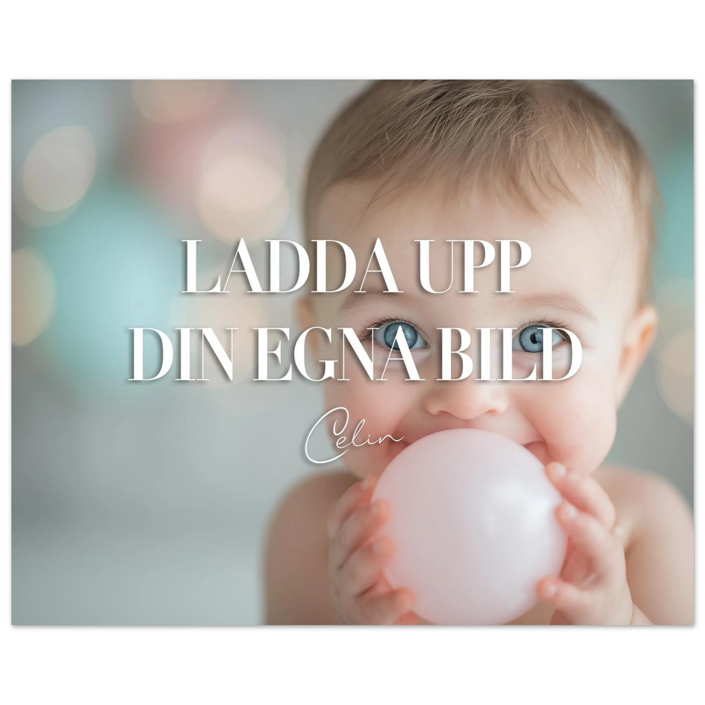 70d1a69a-e3f2-4940-b110-5f361955703d