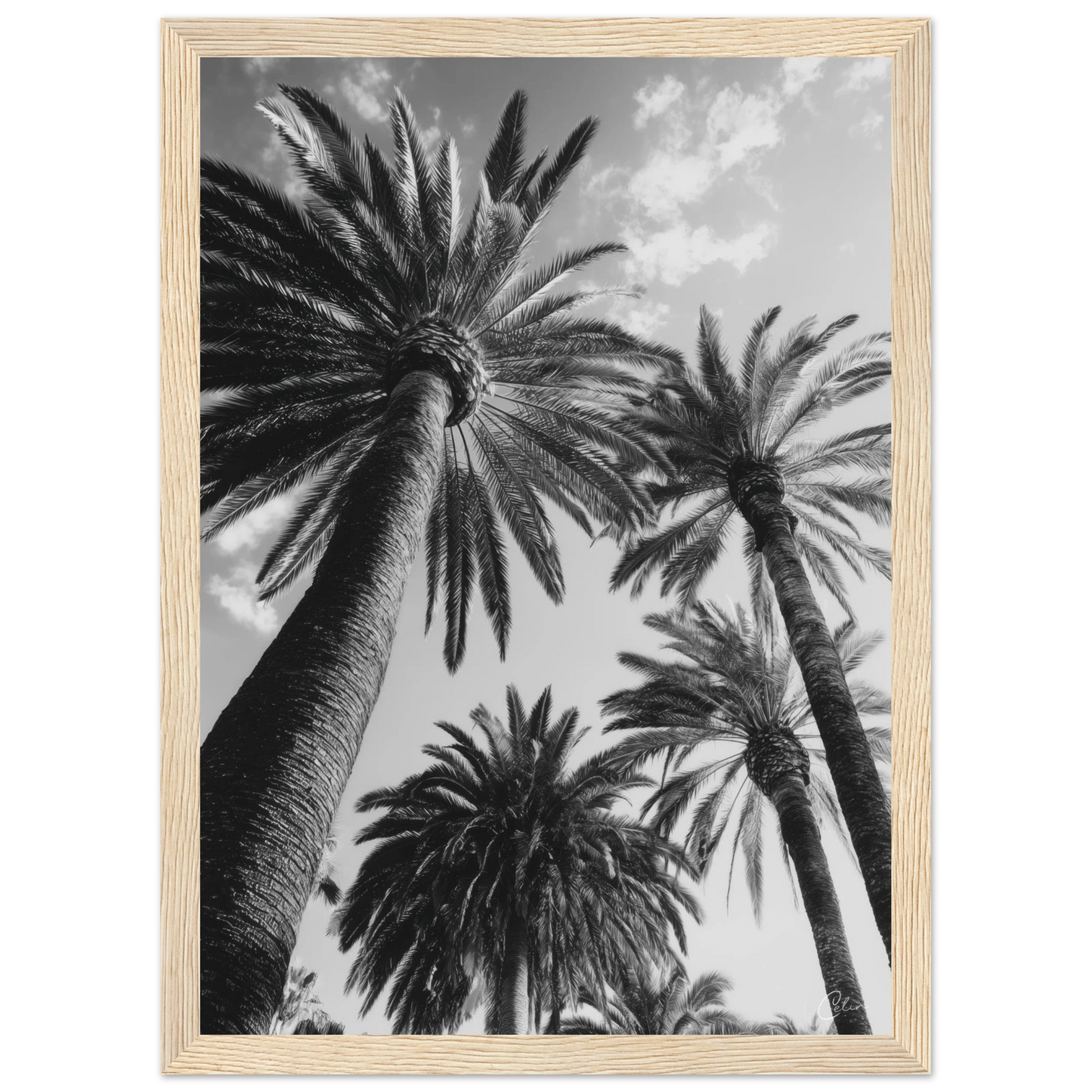 74b52514-a1f8-416d-91dd-6151e96ee3f9