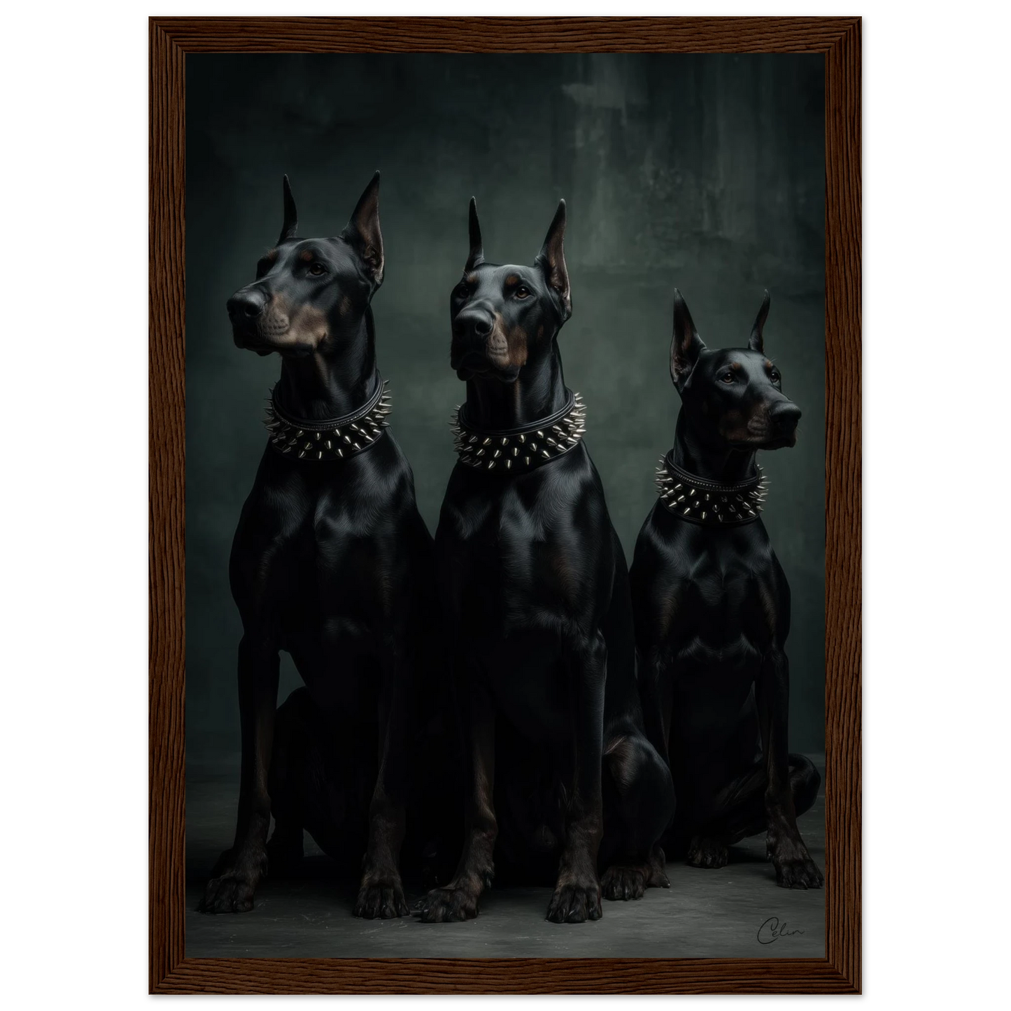 7602d4f3-9ae4-4144-b59b-1d8cc9e878e1