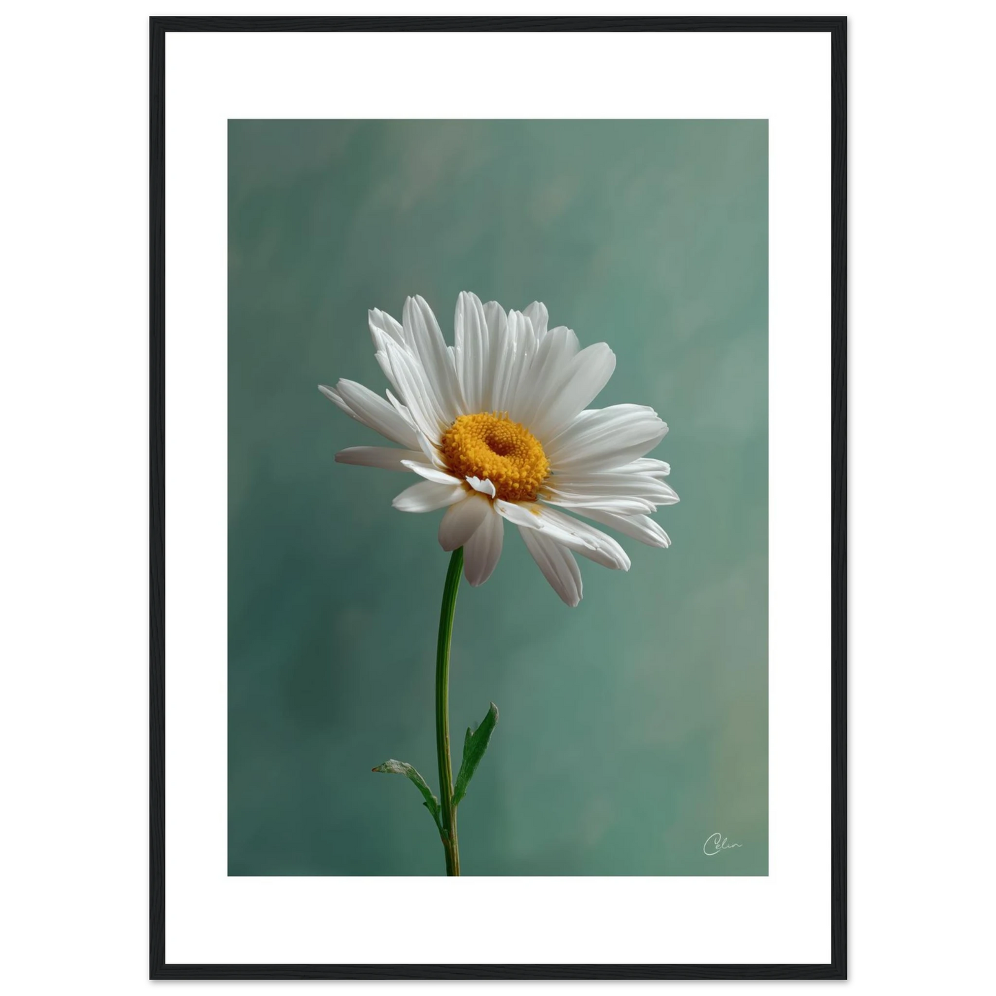 7751f64b-37a5-47f8-b8d8-20325fc76941