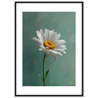 7751f64b-37a5-47f8-b8d8-20325fc76941