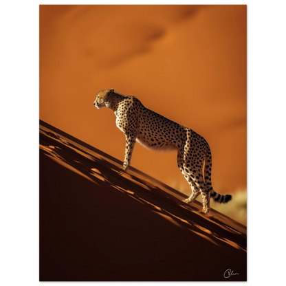 786a5b83-7bb2-48a9-bd8e-fd9050cf0ff6