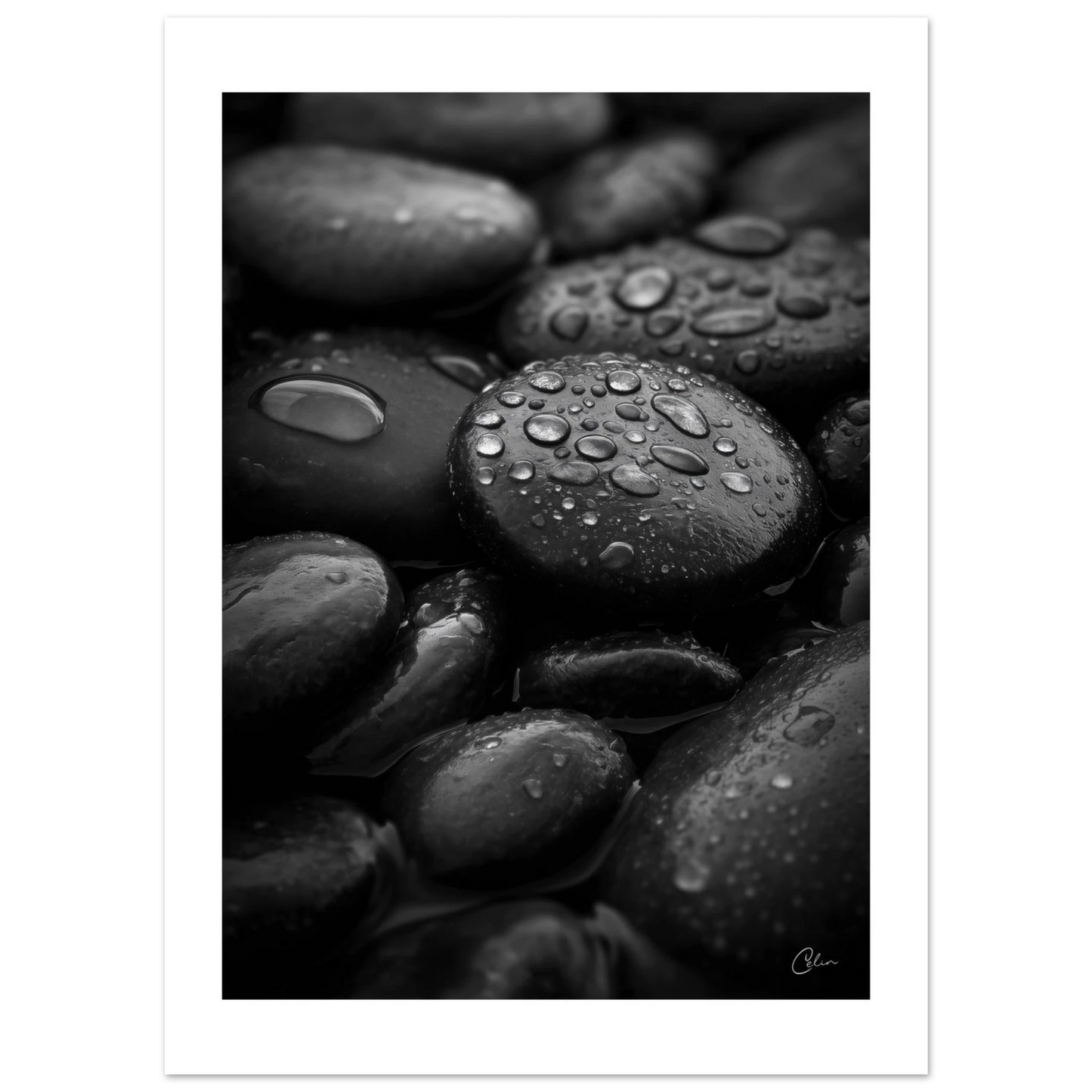 79e40b3f-40fc-46bc-84c6-bdc6c4ec1300