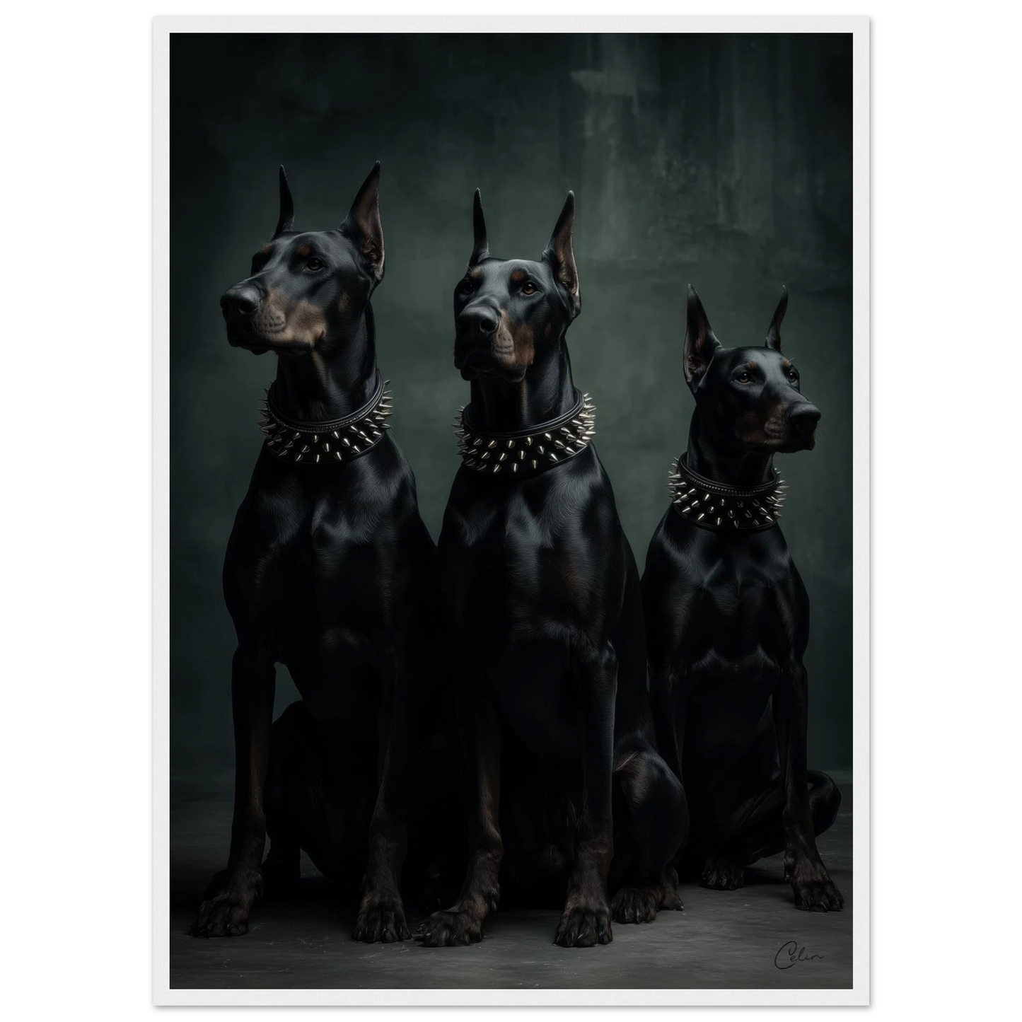 7a8b88ca-6c4d-4bcf-9aae-5e958aa31edf