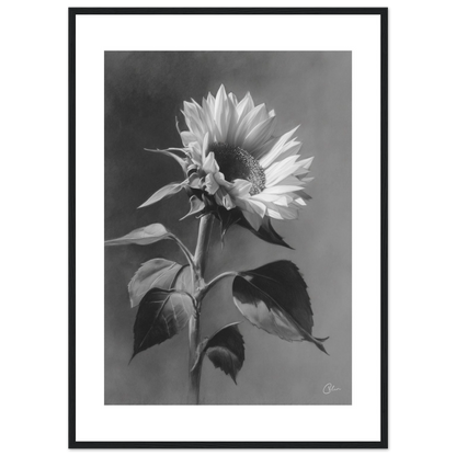 7aa7d167-3da8-4c8b-9926-f9502f724b89