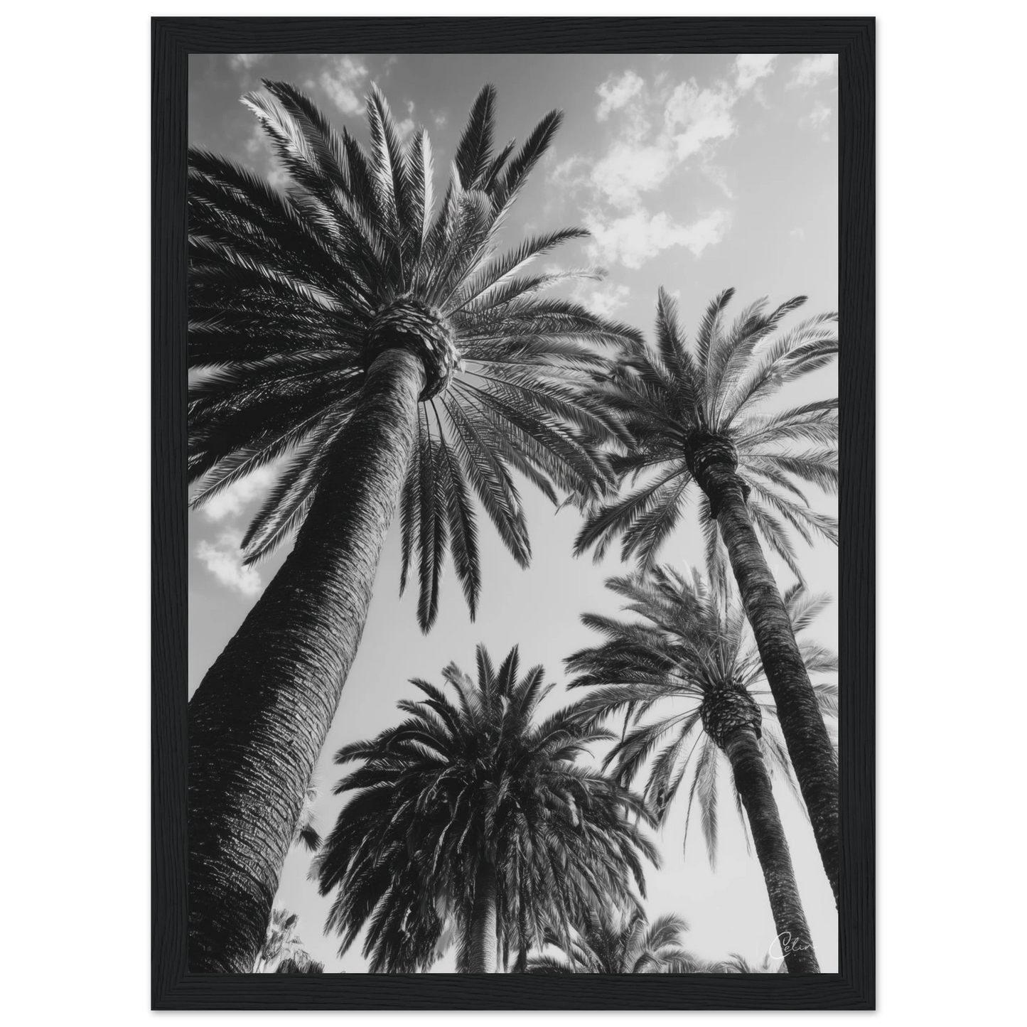 7ceffd82-e254-446f-b65f-22501d4af4c7